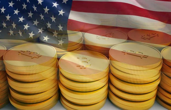 20% Of Young Americans Own Bitcoin, Report Says
