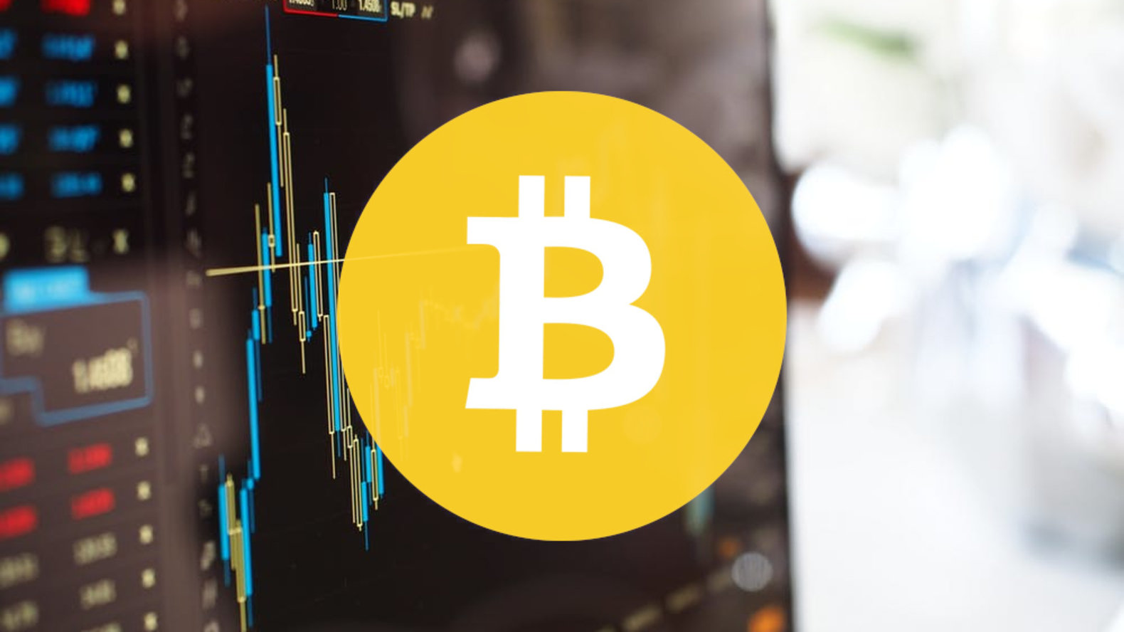 Massive Bitcoin SV Daily Gains Makes Bitcoin Cash ‘Flippening’ Imminent